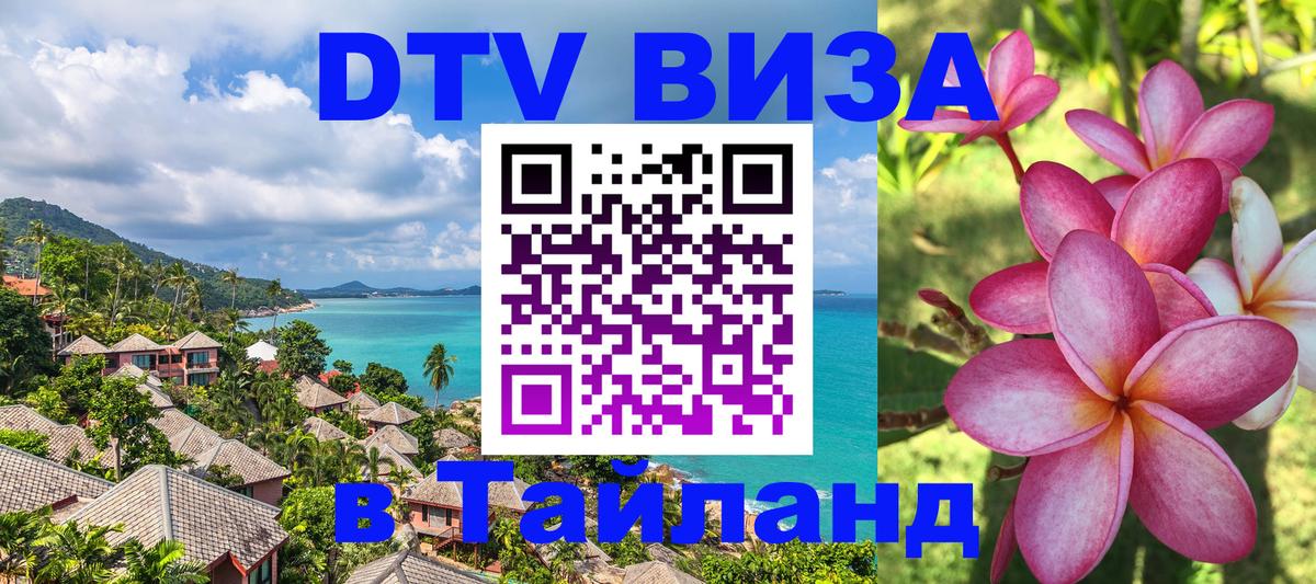 Visa ДТВ Тайланд помощь Пномпень 